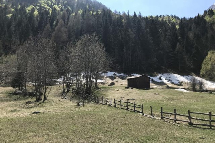 giardino con staccionata e bosco