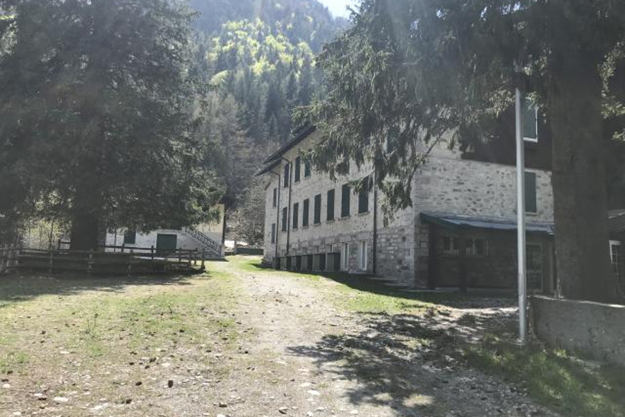 giardino con casa, alberi e bosco